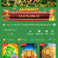 pkwgd5 game download 2026 earn money